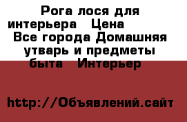 Рога лося для интерьера › Цена ­ 3 300 - Все города Домашняя утварь и предметы быта » Интерьер   
